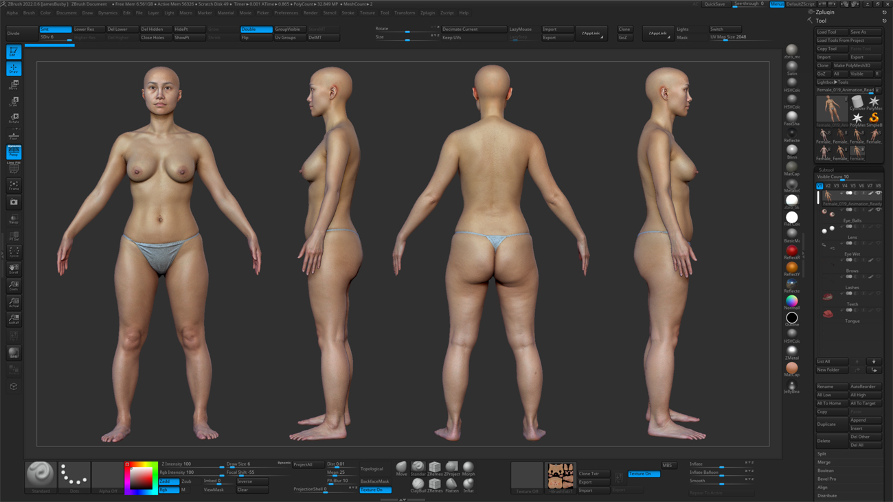 ZBrush ZTool render of a female 3D body scan at high subdivision level showing sculpt-ready mesh detail